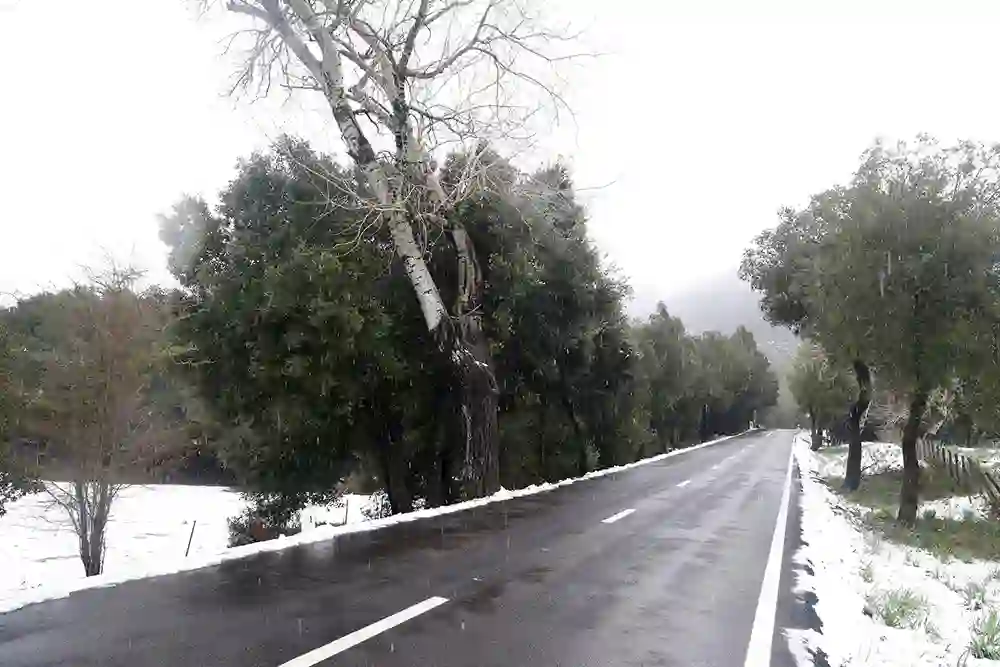 Carreteras despejadas en la Serra de Tramuntana, a 23 de enero de 2023, en Mallorca, Islas Baleares (España). - Isaac Buj - Europa Press
