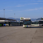 Nuevos autobuses de la EMT Palma.