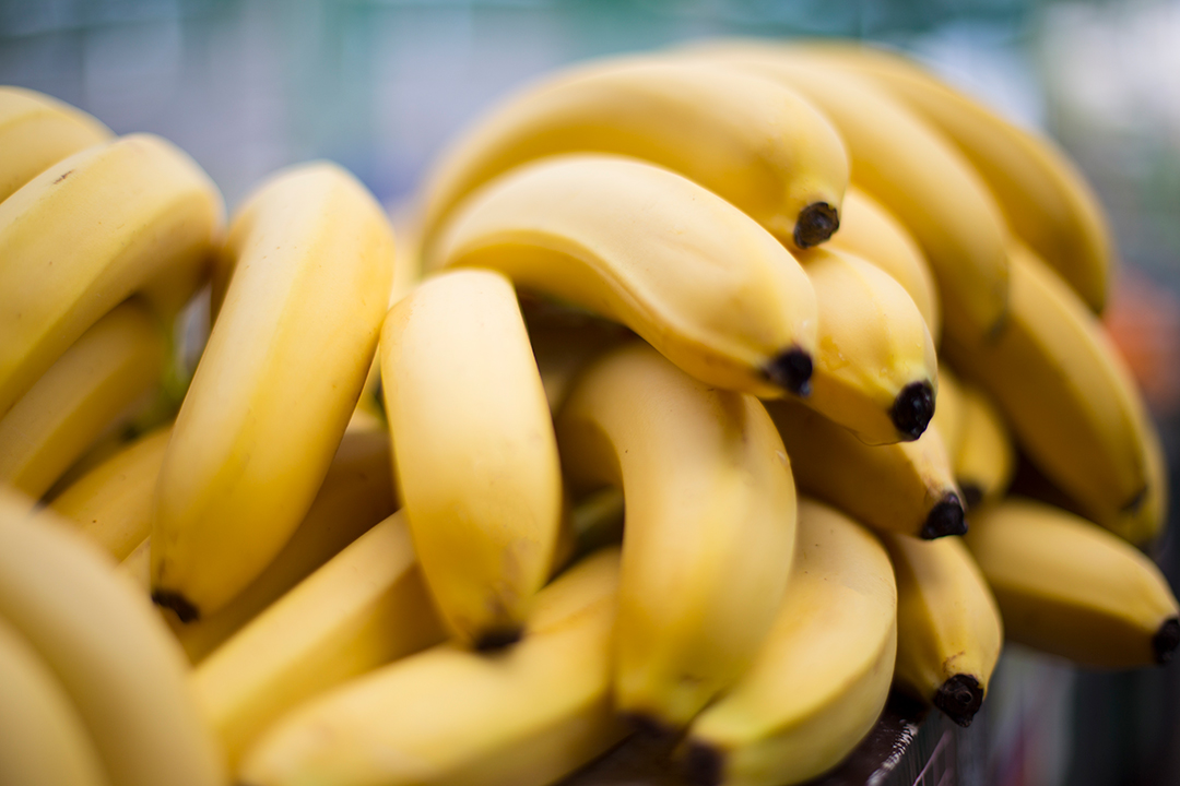 Los plátanos son una fruta popular en todo el mundo debido a su sabor dulce y su fácil disponibilidad