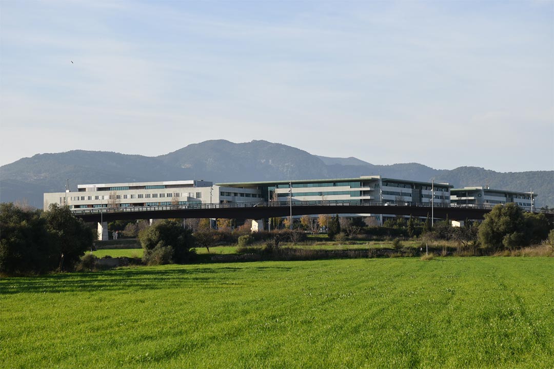 El hospital de Son Espases.