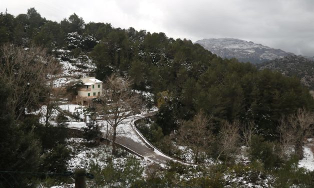 Carreteras cortadas en Mallorca por acumulación de nieve en la Serra de Tramuntana