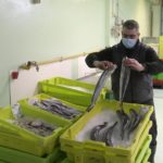 Trabajador
