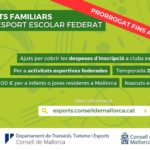 Ayudas Consell
