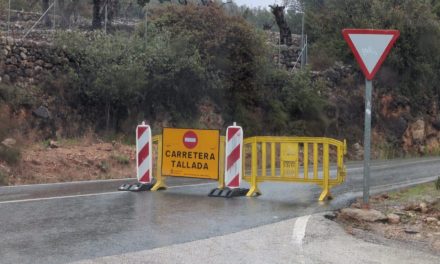 Seis carreteras de Mallorca continúan con cortes por nieve y árboles caídos