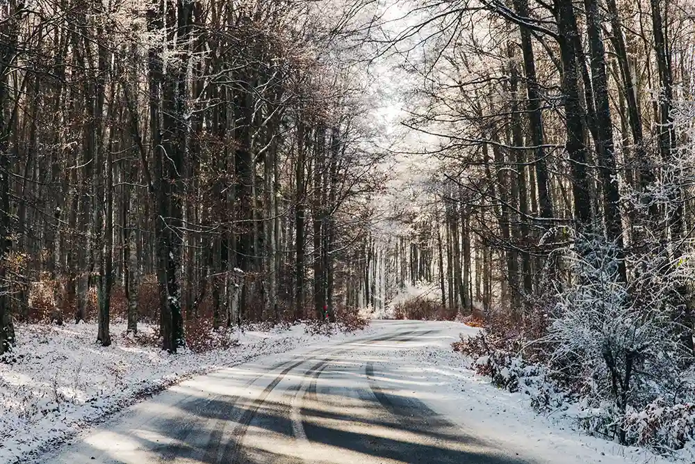 Imagen de recurso de una carretera con nieve.