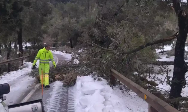 Ocho carreteras de Mallorca siguen cerradas por las consecuencias del temporal