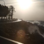 El viento agita palmeras y el mar en la costa de Palma. - Isaac Buj - Europa Press - Archivo