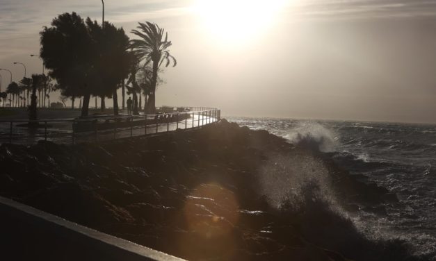 El interior y norte de Mallorca, en riesgo por rachas de viento de 70 km/h