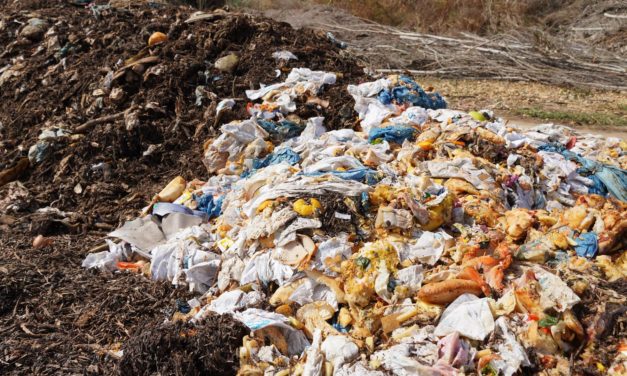 Medio Ambiente pone a disposición de consells y municipios 6,2 millones de NextGenerationEU para mejora gestión residuos