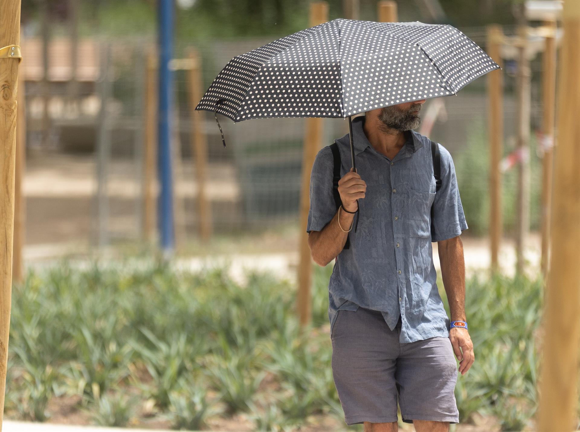 Temperaturas