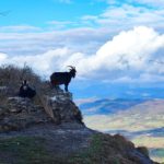Nubes y claros en el puerto de Orduña, entre Burgos y Álava - EUROPA PRESS - Archivo