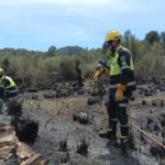 Medios del Ibanat sofocan un incendio forestal en Son Servera (Mallorca) - IBANAT