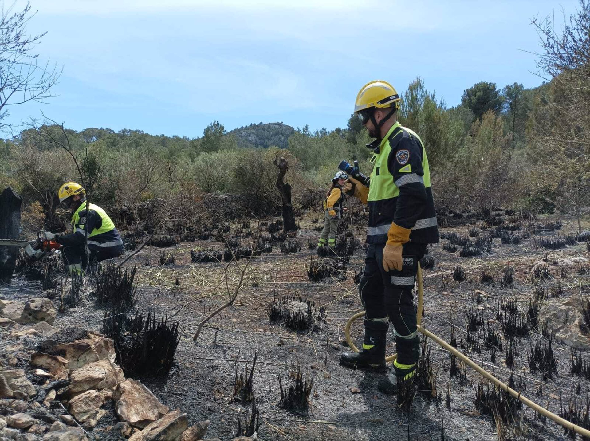Medios del Ibanat sofocan un incendio forestal en Son Servera (Mallorca) - IBANAT