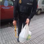 Un Agente de la Policía, con una palanqueta y otros enseres incautados a los dos detenidos por daños en los sistemas de seguridad 'antiokupas' de una vivienda en Manacor - POLICÍA NACIONAL
