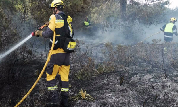 Controlado un incendio que ha quemado 0,15 hectáreas de pinar en Son Serra de Marina