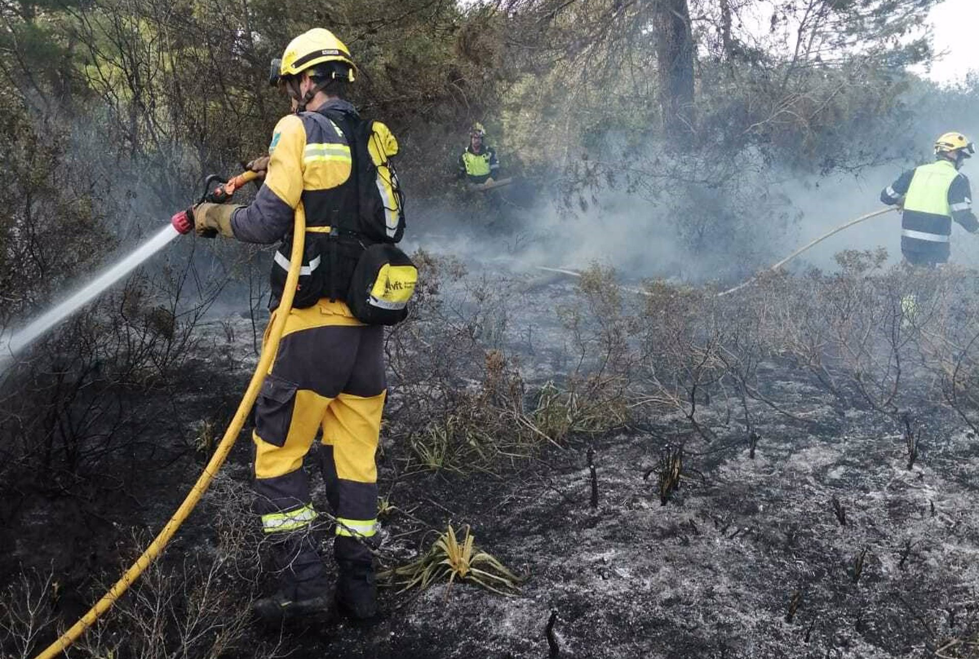 Efectivos del Ibanat. Incendio forestal - IBANAT