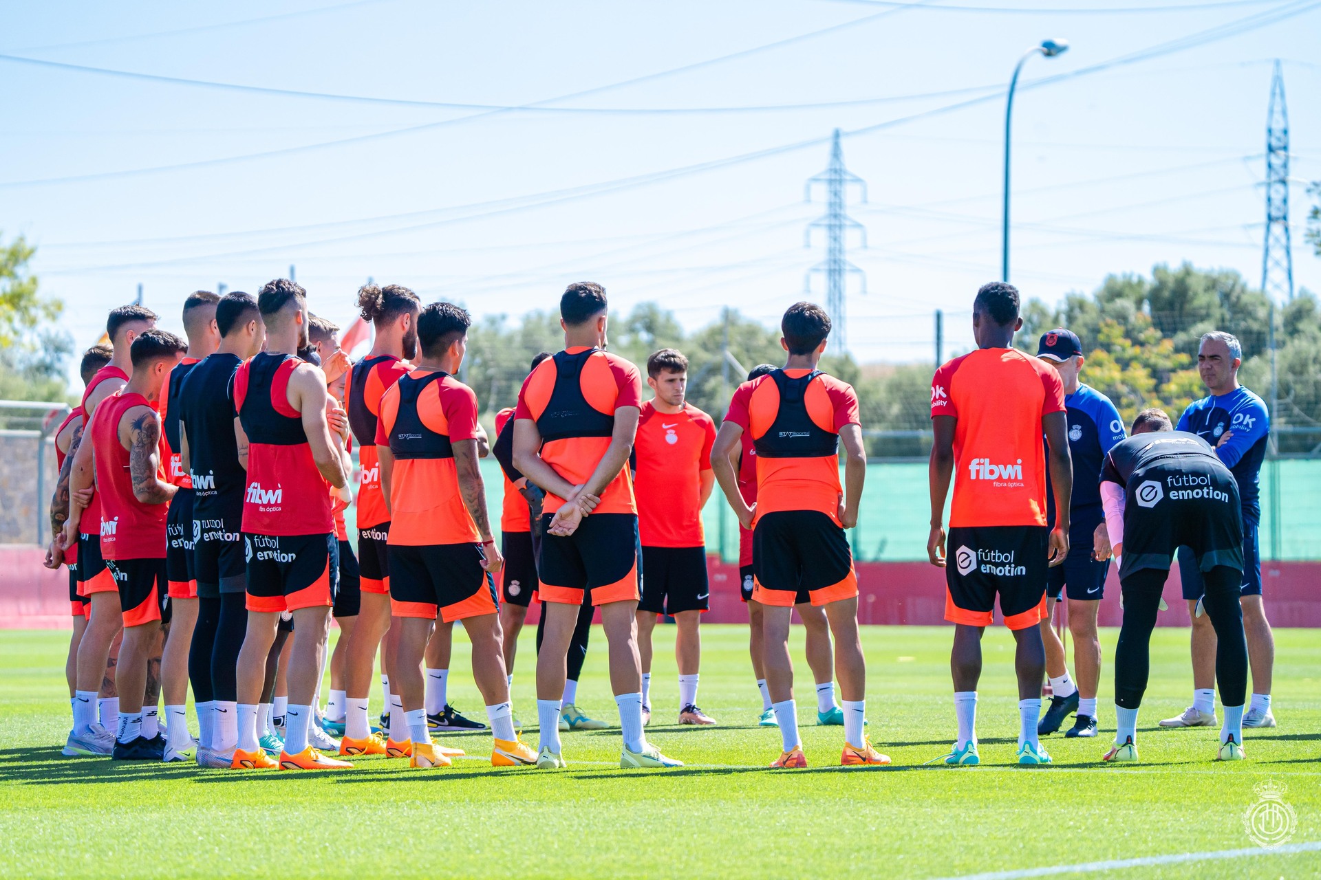 Rcd mallorca
