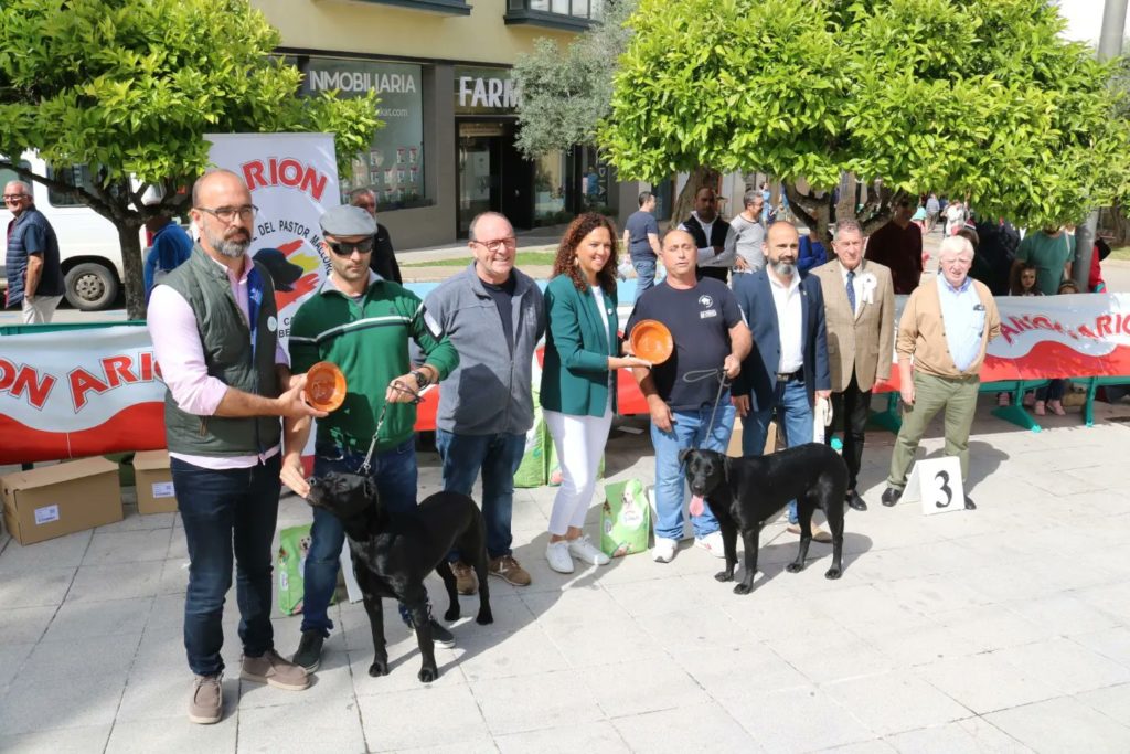 El concurso de perros "Bestiar", uno de los eventos destacados en la Fira de Maig de Felanitx.