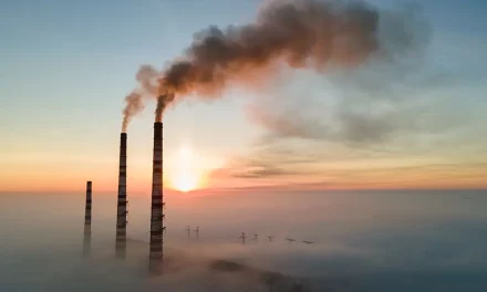 Baleares reduce un 53% las emisiones de CO2 provenientes de la generación eléctrica respecto a 2018