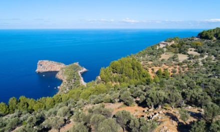 Nominan a Mallorca en cinco categorías de los World Travel Awards