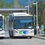 BUS
