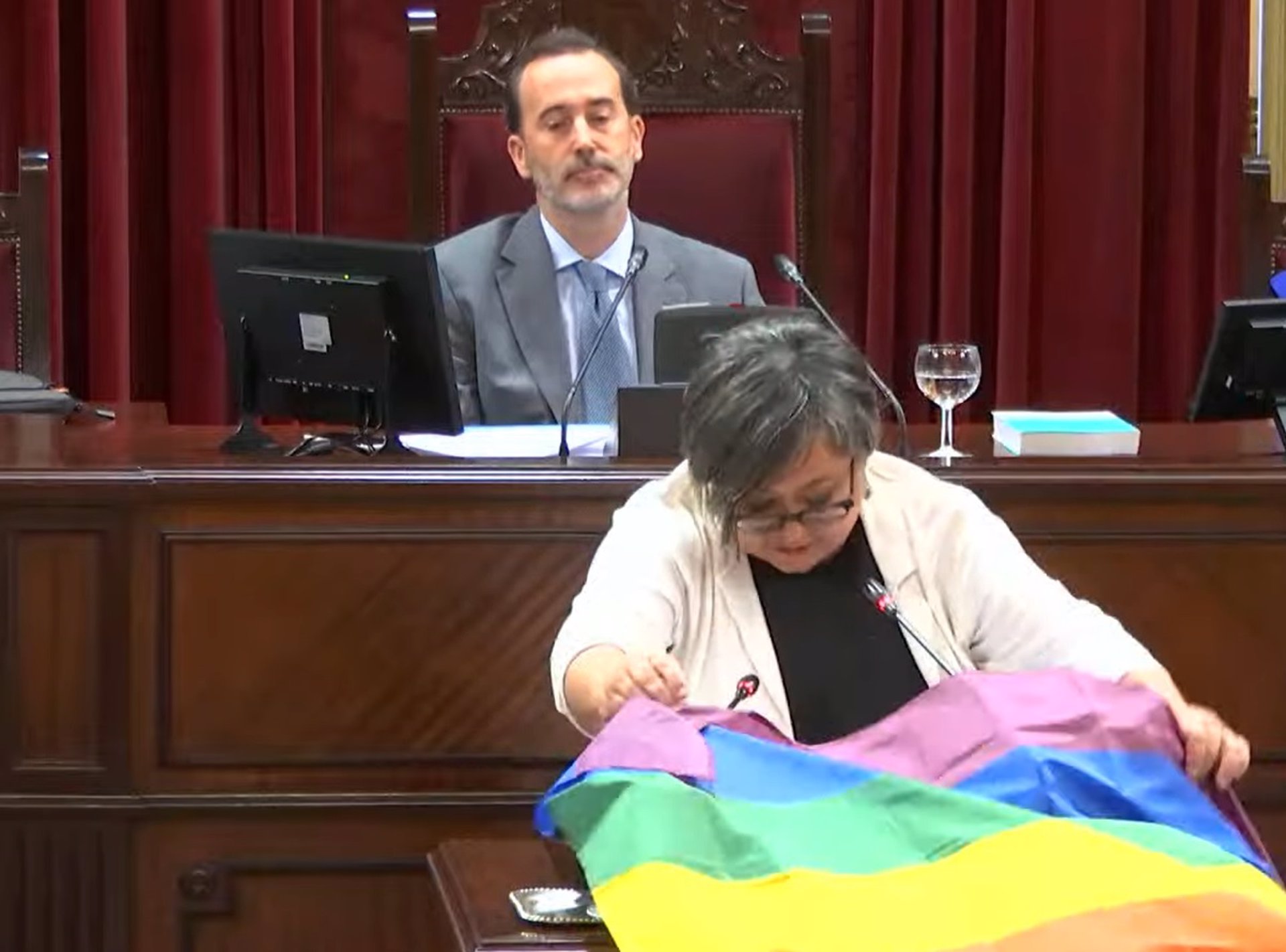 Diputada Cristina Gómez