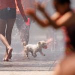 ola calor