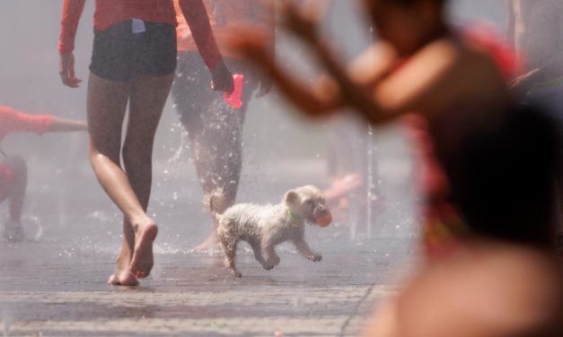 Más de 30 provincias estarán este lunes en alerta por otra ola de calor, con Mallorca en riesgo importante