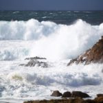 olas