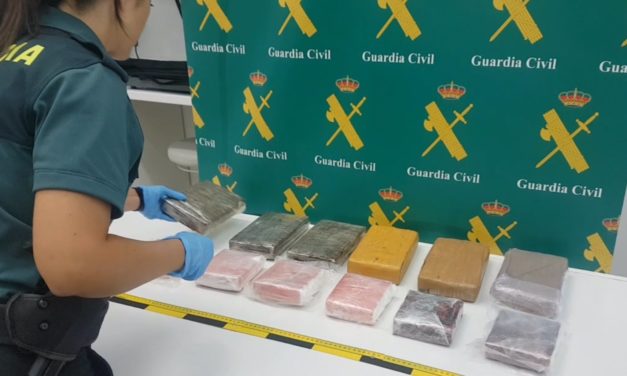 Detenido un hombre en el puerto de Palma al intentar introducir en Mallorca diez kilos de cocaína