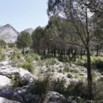 Finca Mallorca