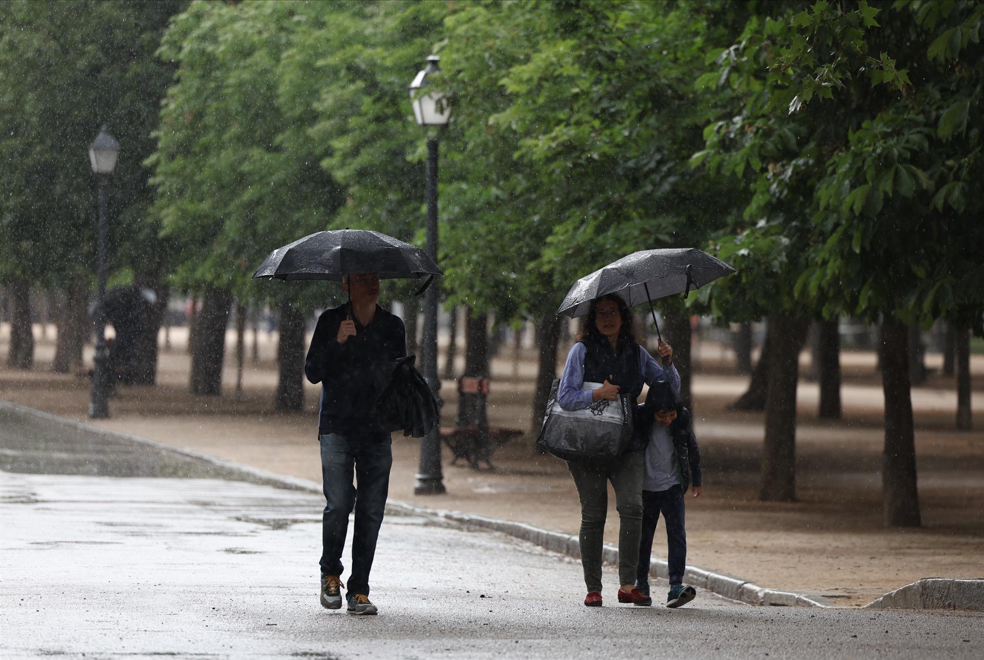 Lluvias
