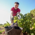 Trabajador Agricultura