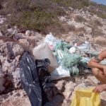 Imagen de los residuos retirados en una de las playas de Manacor. - AYUNTAMIENTO DE MANACOR