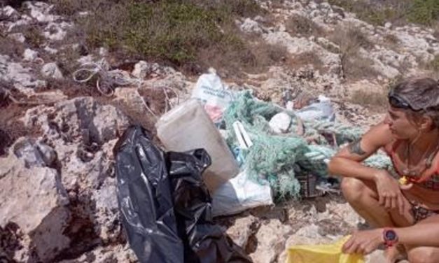 Manacor retira 300 kilos de residuos de las calas vírgenes del municipio