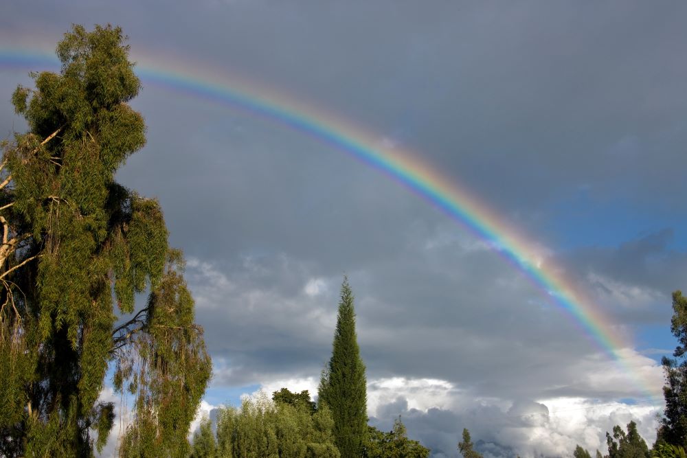 Imagen de recurso del arco iris.