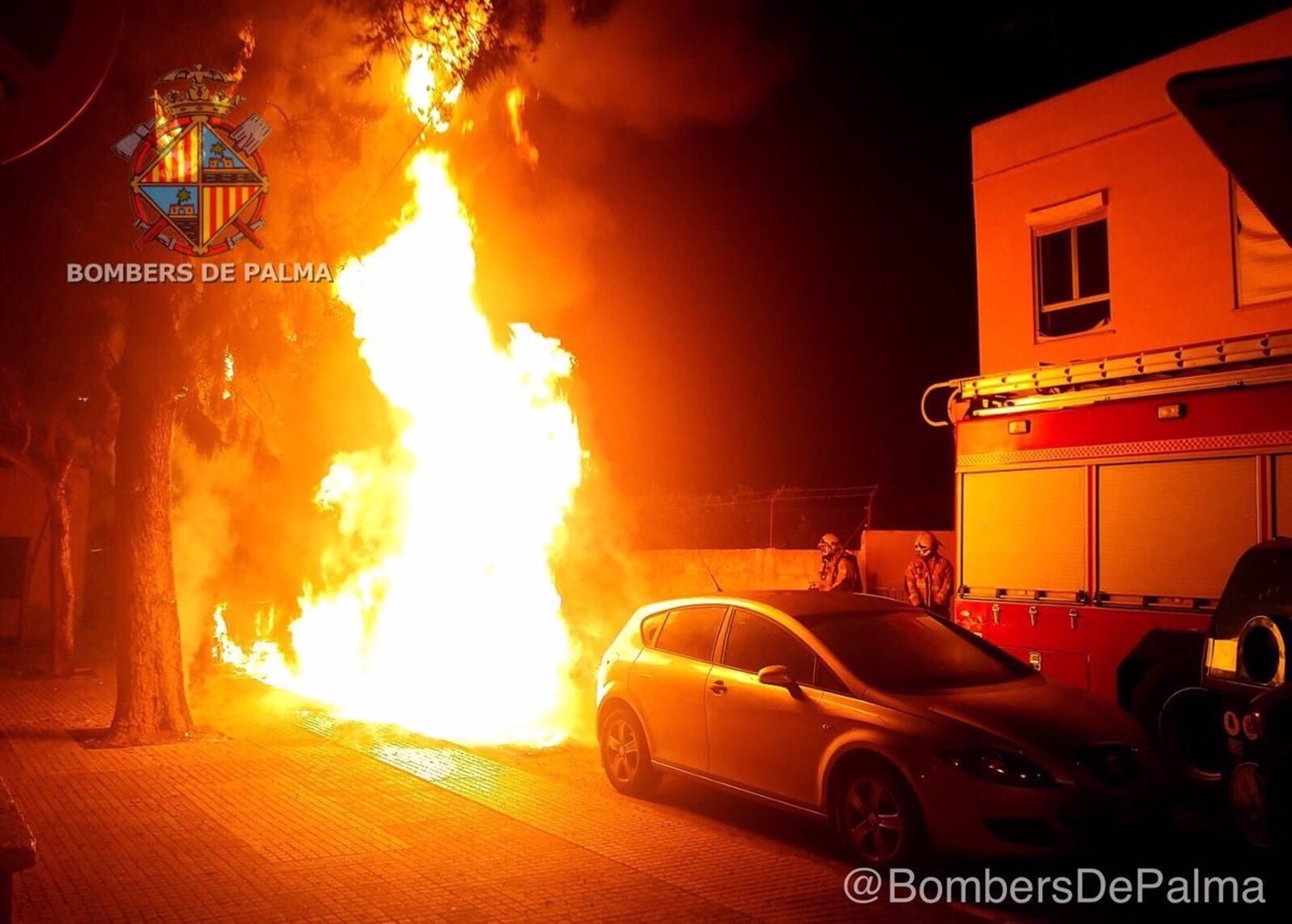 Incendio en contenedores en Es Vivero - ACIE BOMBERS DE PALMA - Archivo