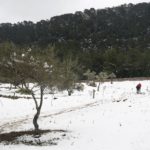 Restos de nieve en en la Serra de Tramuntana, a 23 de enero de 2023, en Mallorca, Islas Baleares (España). - Isaac Buj - Europa Press - Archivo