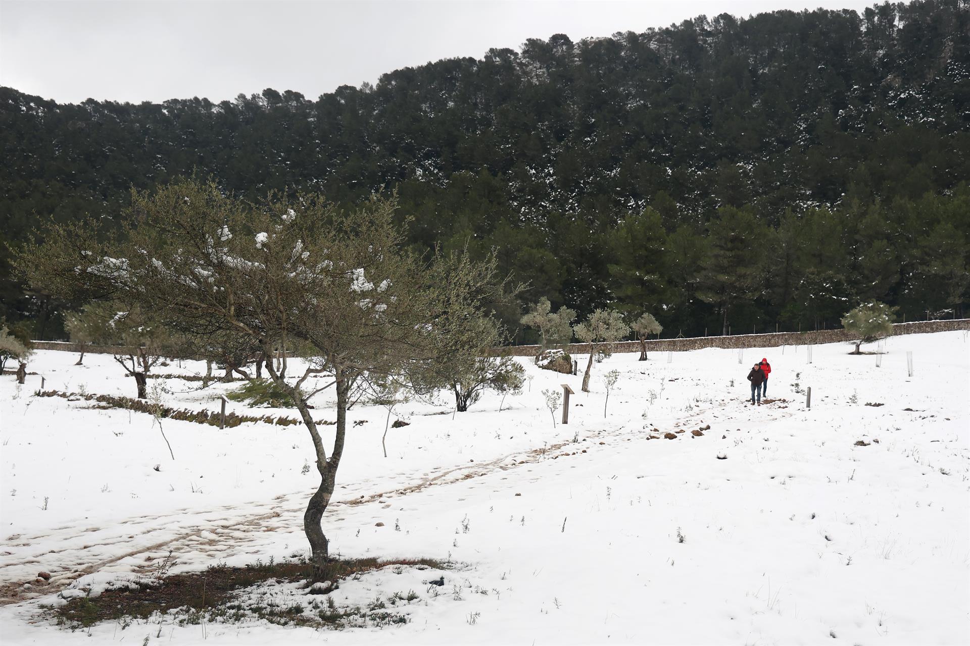 Restos de nieve en en la Serra de Tramuntana, a 23 de enero de 2023, en Mallorca, Islas Baleares (España). - Isaac Buj - Europa Press - Archivo