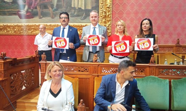 VOX en el Consell, rechaza la moción de Més en defensa de la lengua catalana