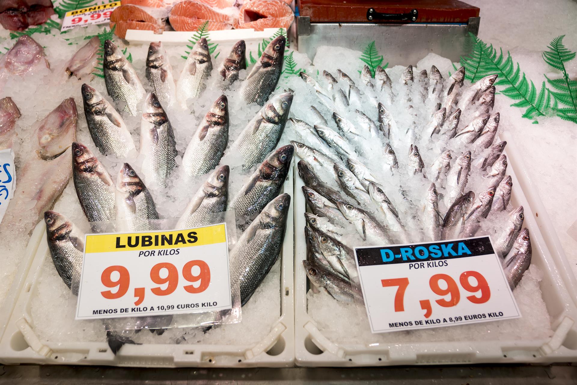 Precios en una pescadería, a 11 de agosto de 2023. - A. Pérez Meca - Europa Press