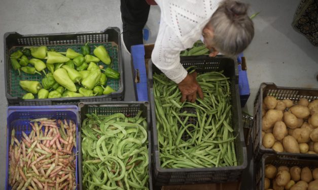 El IPC repunta al 3,1% en agosto en Baleares, con los alimentos un 10,7% más caros que un año antes