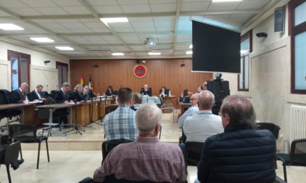 Policía apunta a un trato “no homogéneo” del Ayuntamiento de Calvià a locales de ocio de Magaluf