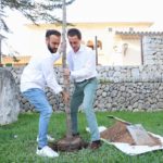 El Consell de Mallorca conmemora el Día del Cambio Climático plantando un árbol. - CONSELL DE MALLORCA