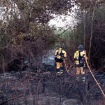Efectivos del Ibanat trabajan en la extinción del incendio declarado este domingo en un torrente en Petra - IBANAT
