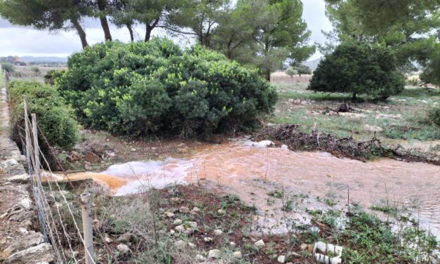 Emergencias 112 gestiona 104 incidentes en las últimas 24 horas a causa de las fuertes lluvias en Mallorca y Menorca