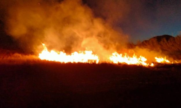 Extinguido un incendio en Sant Joan que ha afectado 10.000 metros cuadrados