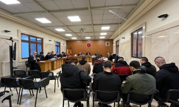 Ocho personas pactan seis meses de cárcel por una concentración antiCOVID en Palma