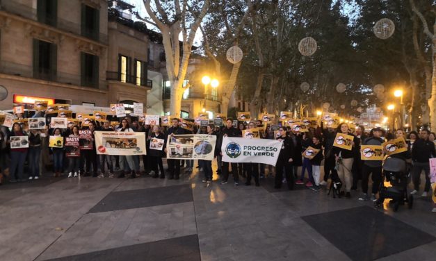 Más de 200 personas exigen el fin de la explotación de los caballos de las galeras en Mallorca