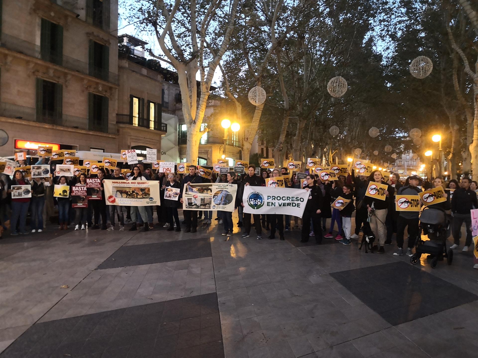 Más de 200 personas exigen el fin de la explotación de los caballos de las galeras en Mallorca - PROGRESO EN VERDE
